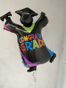 <p>Graduation Person</p><p class="price-desc">€15</p>